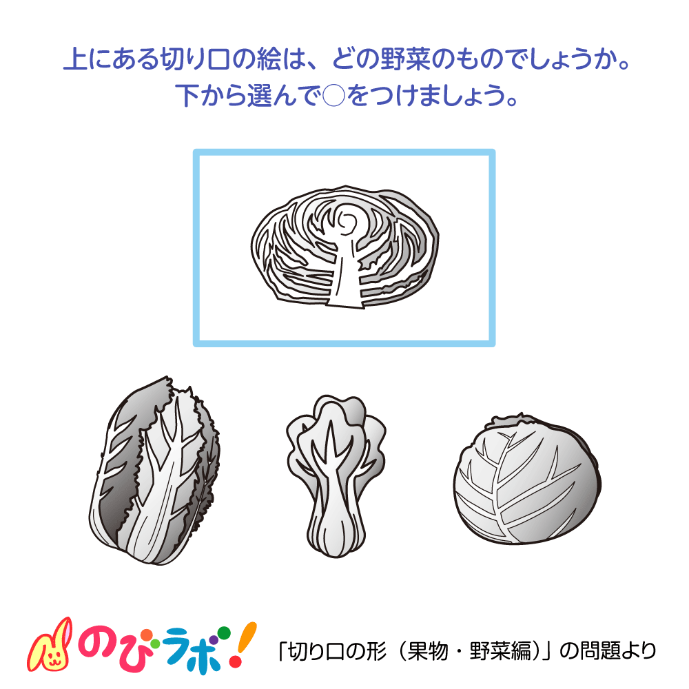 やってみよう「切り口の形（果物・野菜編）」の問題13