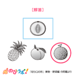 やってみよう「切り口の形(果物・野菜編)」の問題11-解答