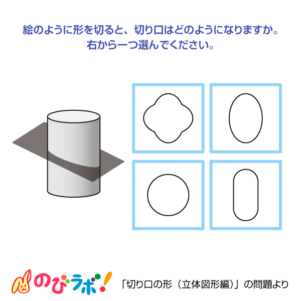 やってみよう「切り口の形（立体図形編）」の問題9