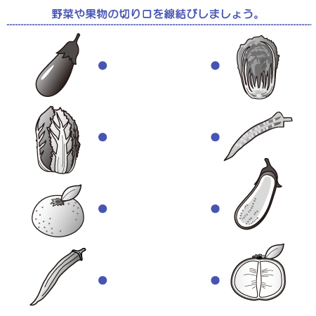 やってみよう 切り口の形 果物 野菜編 の問題 のびラボ 幼児教材 小学校受験 学習プリントのダウンロード販売