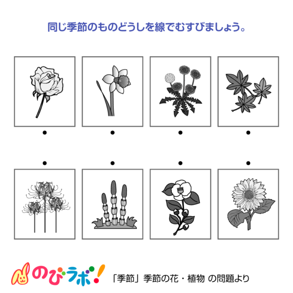 やってみよう「季節の花・植物」の問題13