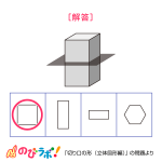 やってみよう「切り口の形（立体図形編）」の問題8-解答