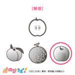 やってみよう「切り口の形（果物・野菜編）」の問題16-解答