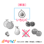やってみよう「切り口の形(果物・野菜編)」の問題15-解答