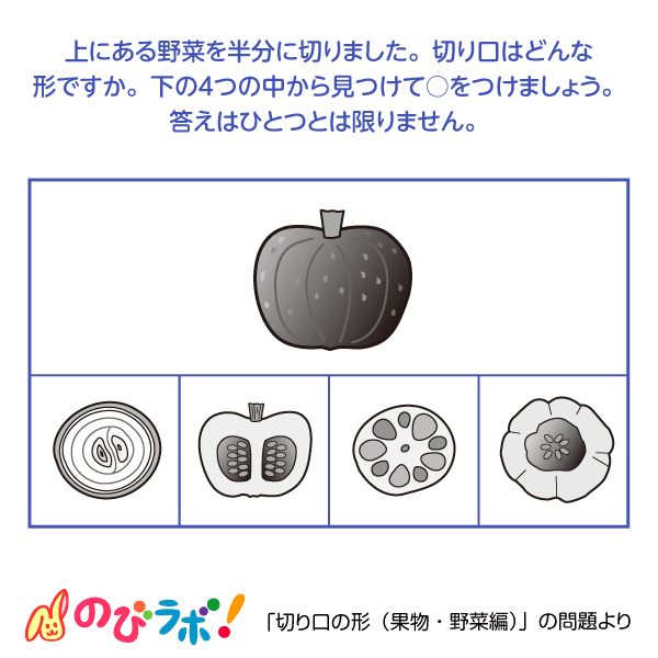 やってみよう 切り口の形 果物 野菜編 の問題9 のびラボ 幼児教材 小学校受験 学習プリントのダウンロード販売 やってみよう 切り口の形 果物 野菜編 の問題9 のびラボ 幼児教材 小学校受験 学習プリントのダウンロード販売