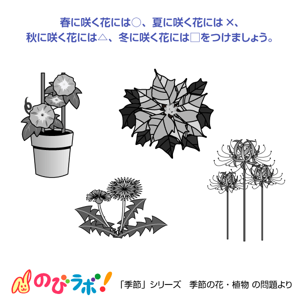 やってみよう「季節の花・植物」の問題6