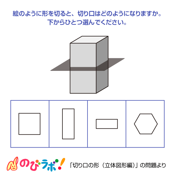 やってみよう「切り口の形（立体図形編）」の問題8