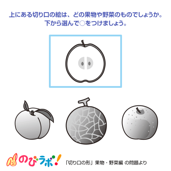 やってみよう「切り口の形（果物・野菜編）」の問題16