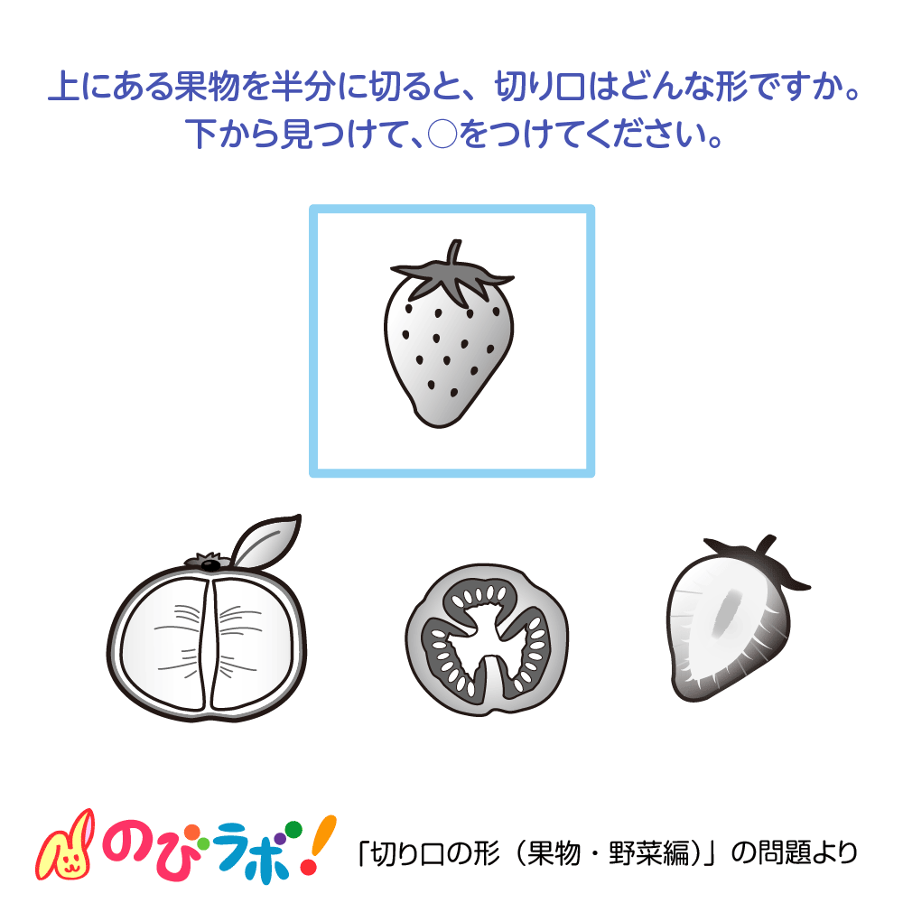 やってみよう「切り口の形（果物・野菜編）」の問題12