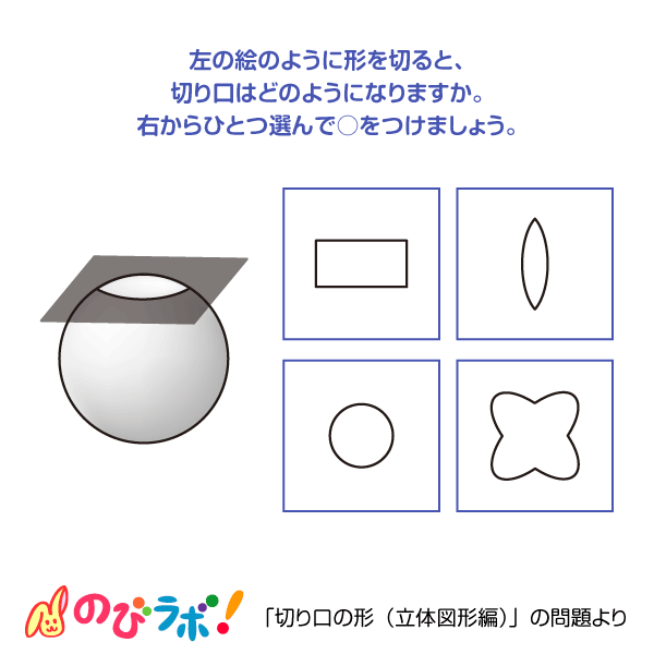 やってみよう「切り口の形（立体図形編）」の問題10