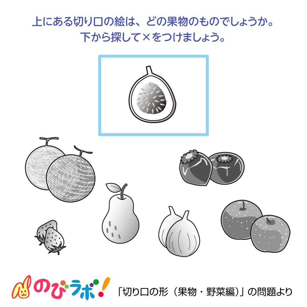 やってみよう「切り口の形(果物・野菜編)」の問題15 | 「のびラボ!」幼児教材・小学校受験・学習プリントのダウンロード販売
