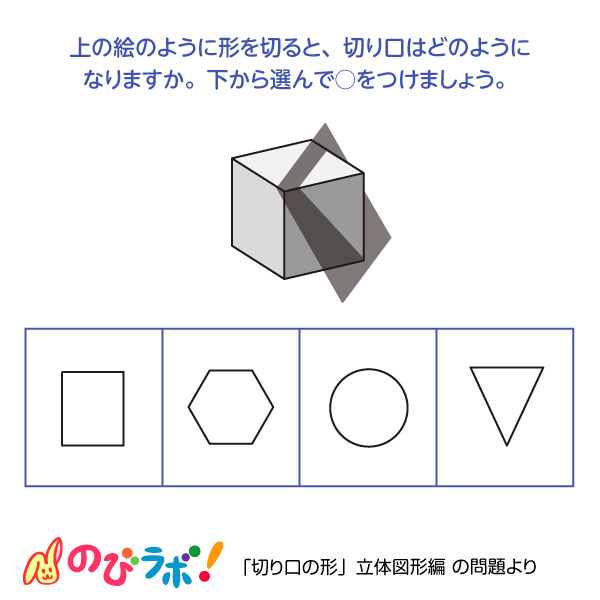 やってみよう「切り口の形（立体図形編）」の問題11