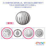 やってみよう!”切り口の形(果物・野菜編)”の問題3-解答