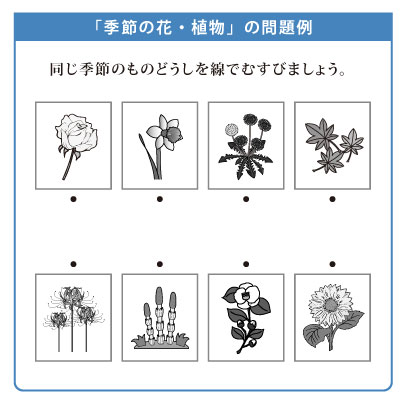 季節の花・植物-例題