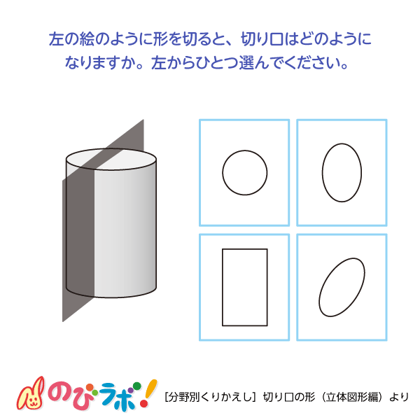 やってみよう「切り口の形(立体図形編)」の問題4