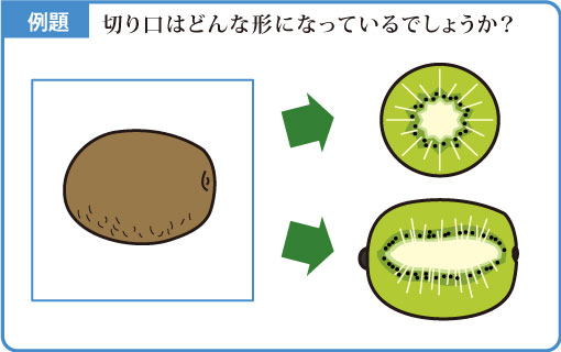 切り口の形-図1