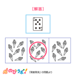 やってみよう「異数発見」の問題5-解答
