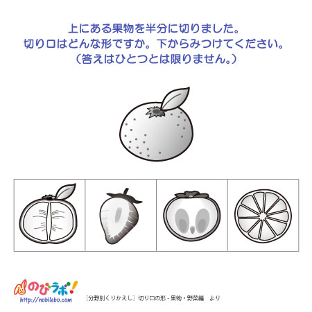 やってみよう!”切り口の形-果物・野菜編”の問題2
