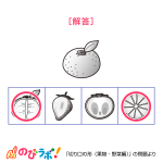 やってみよう「切り口の形(果物・野菜編)」の問題6-解答