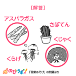 やってみよう「言葉あそび」の問題16-解答