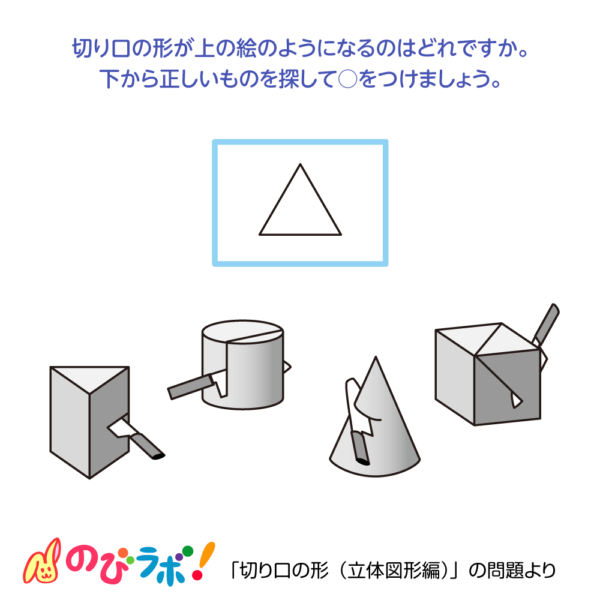 やってみよう「切り口の形（立体図形編）」の問題16