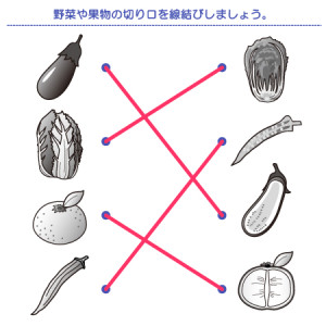 やってみよう！”切り口の形（果物・野菜編）”の問題-解答