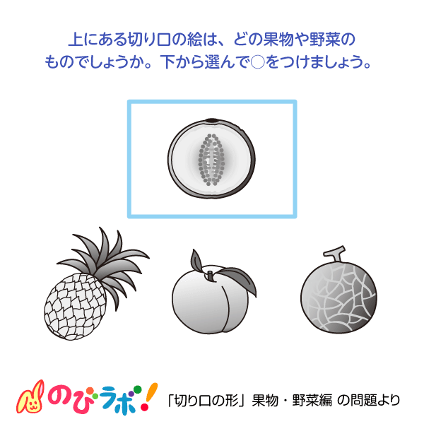 やってみよう「切り口の形(果物・野菜編)」の問題11