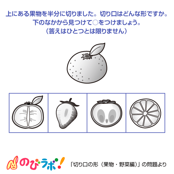 やってみよう「切り口の形（果物・野菜編）」の問題6