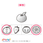 やってみよう!”切り口の形-果物・野菜編”の問題2-解答