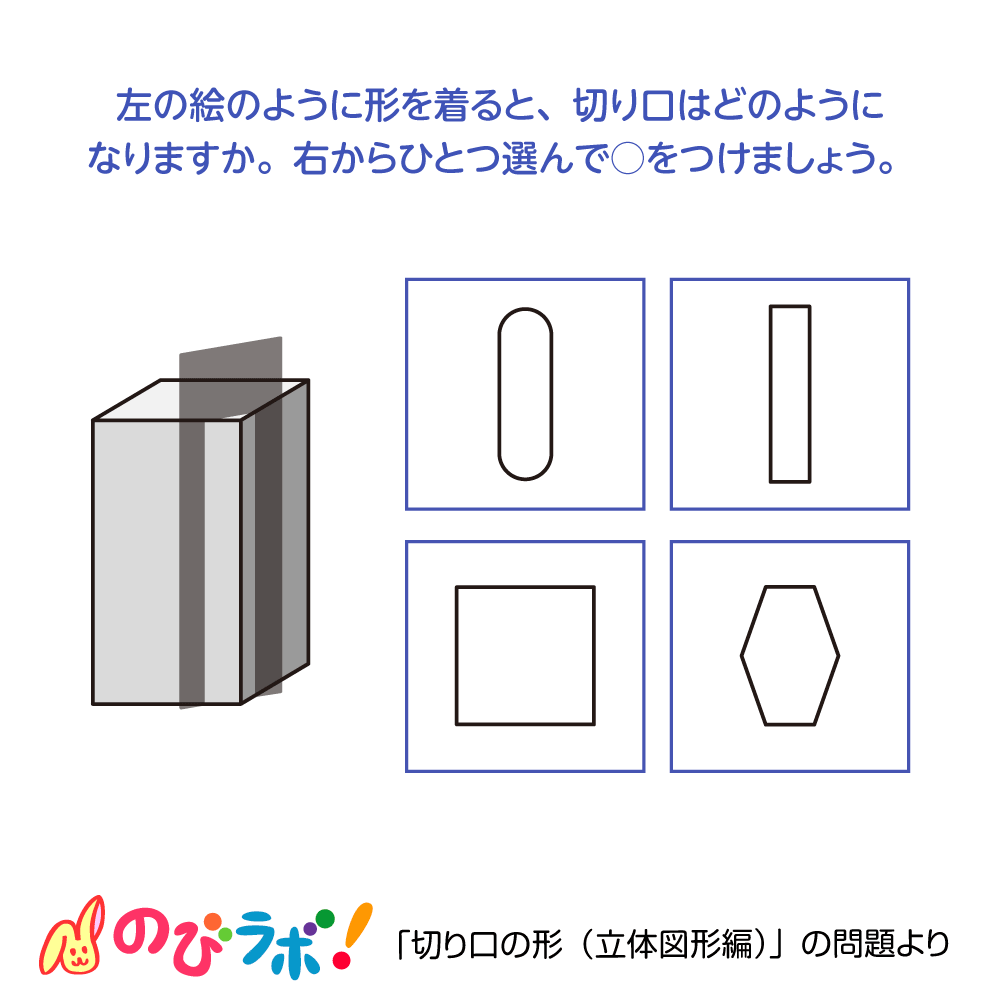 やってみよう「切り口の形(立体図形編)」の問題13