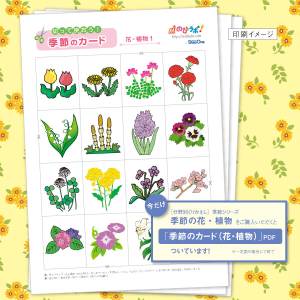 季節の花・植物-カード付きキャンペーン