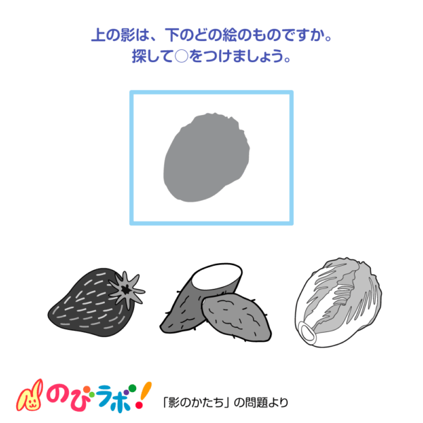 やってみよう「影のかたち」の問題18