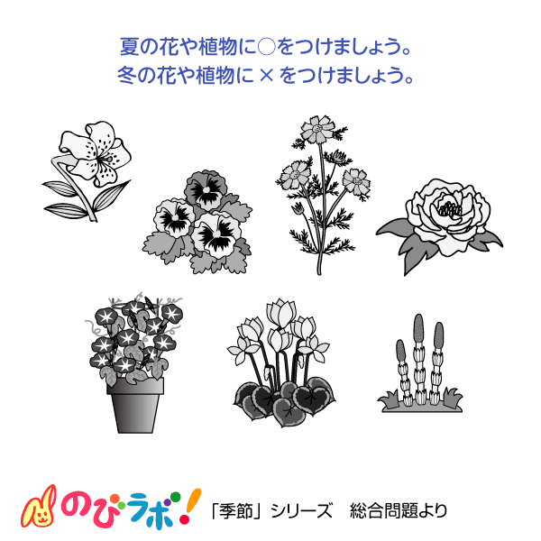 やってみよう「季節(総合問題)」の問題6