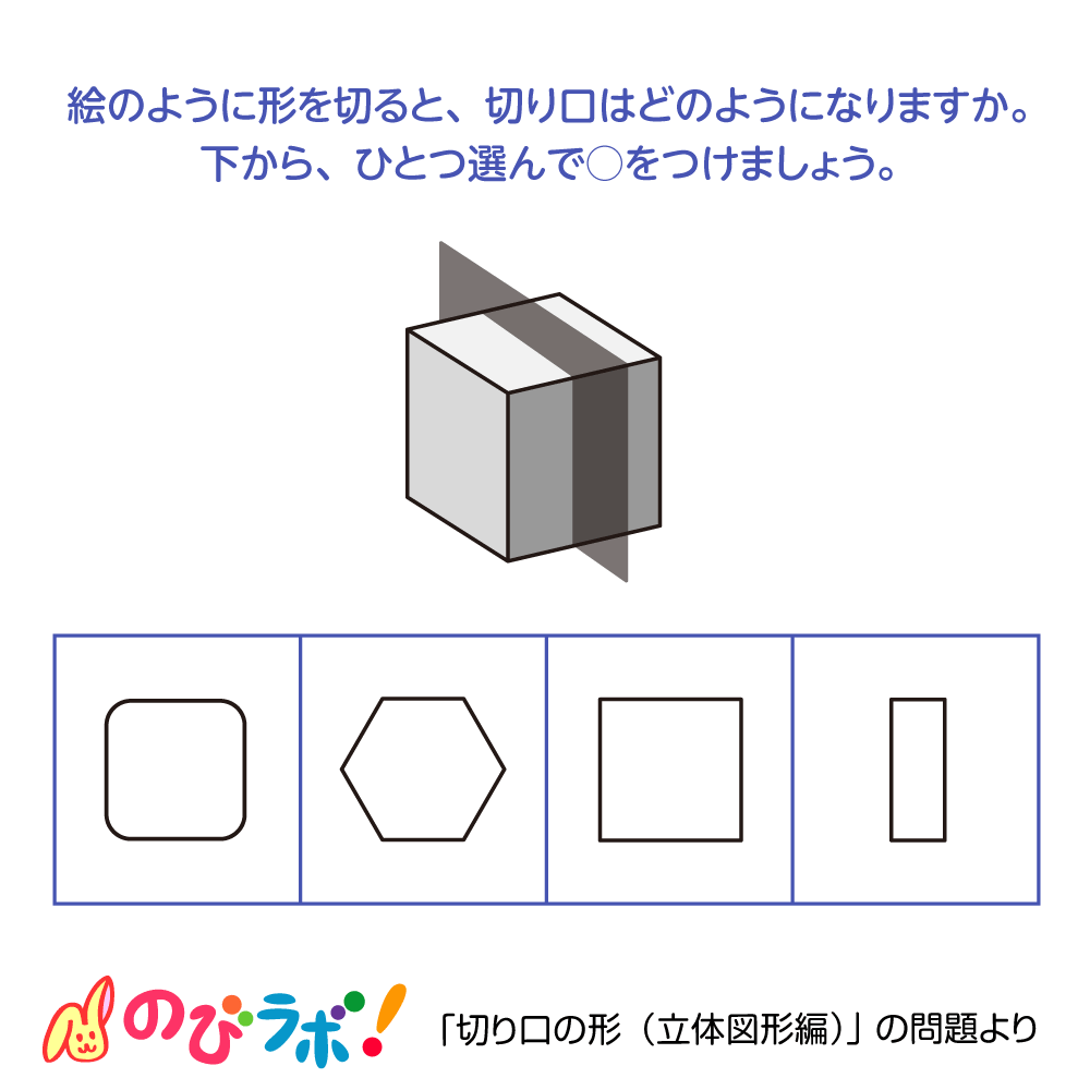 やってみよう「切り口の形（立体図形編）」の問題14