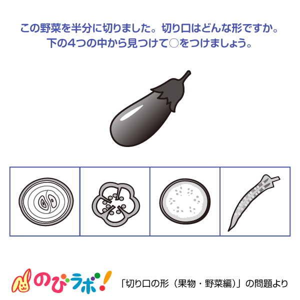やってみよう「切り口の形(果物・野菜編)」の問題7