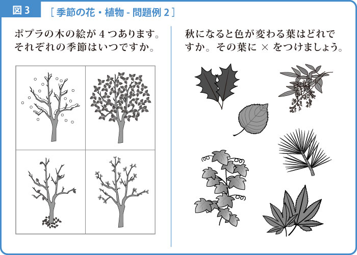 季節-解説図-3