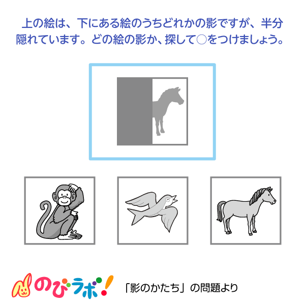 やってみよう「影のかたち」の問題11