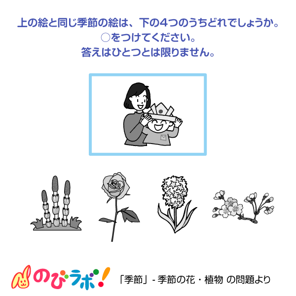 やってみよう「季節の花・植物」の問題7