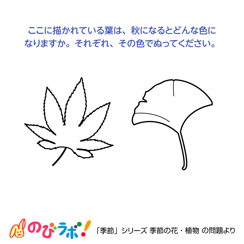 やってみよう「季節の花・植物」の問題9