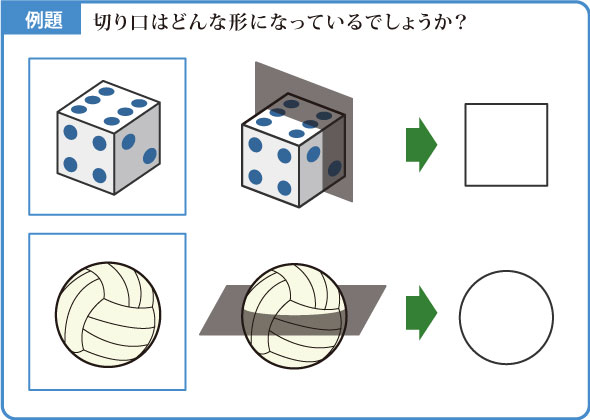 切り口の形-図1