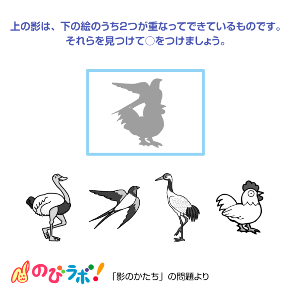 やってみよう「影のかたち」の問題17