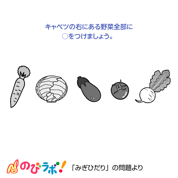 やってみよう「みぎひだり」の問題11