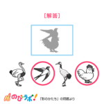 やってみよう「影のかたち」の問題17-解答