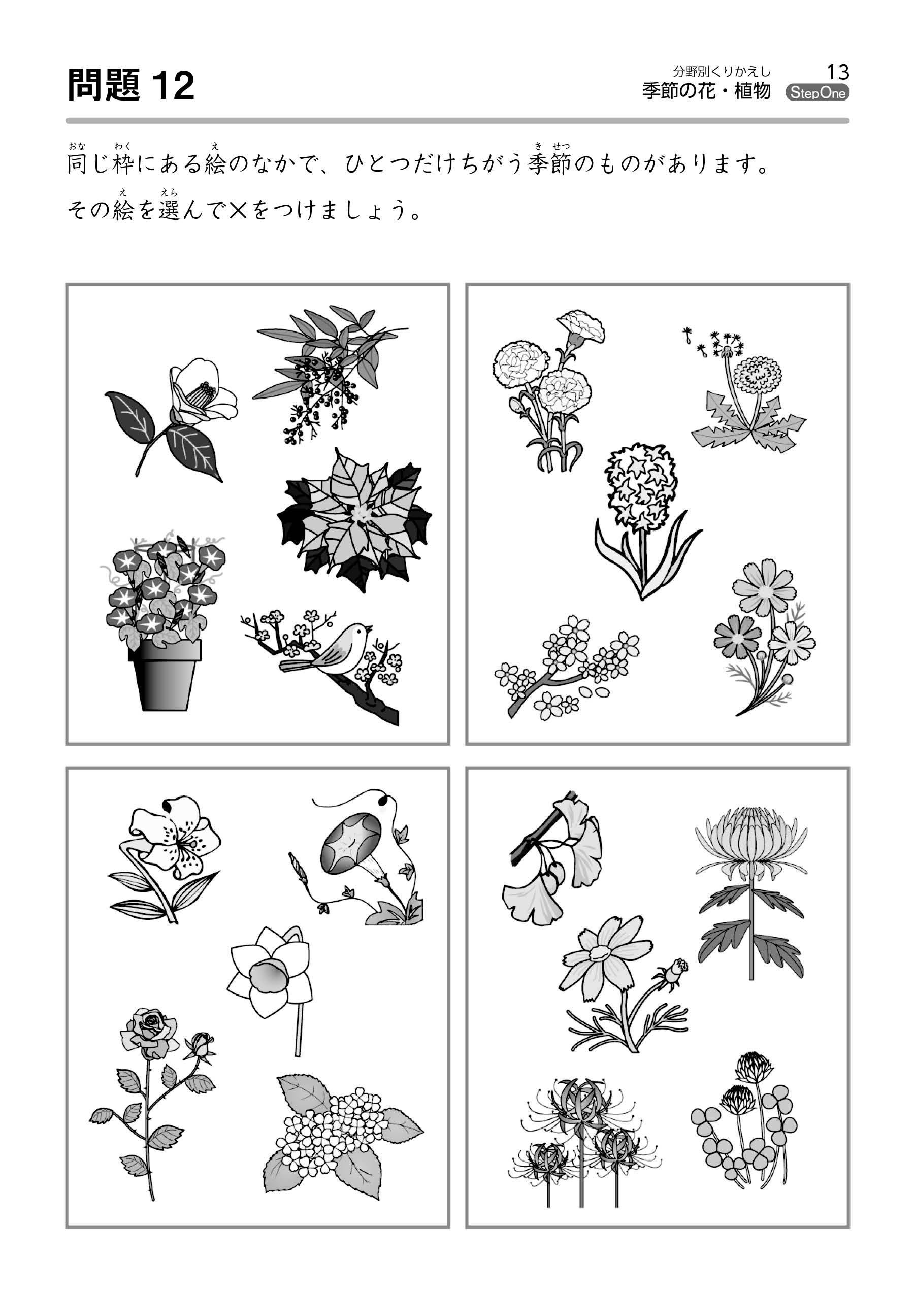 季節の花・植物