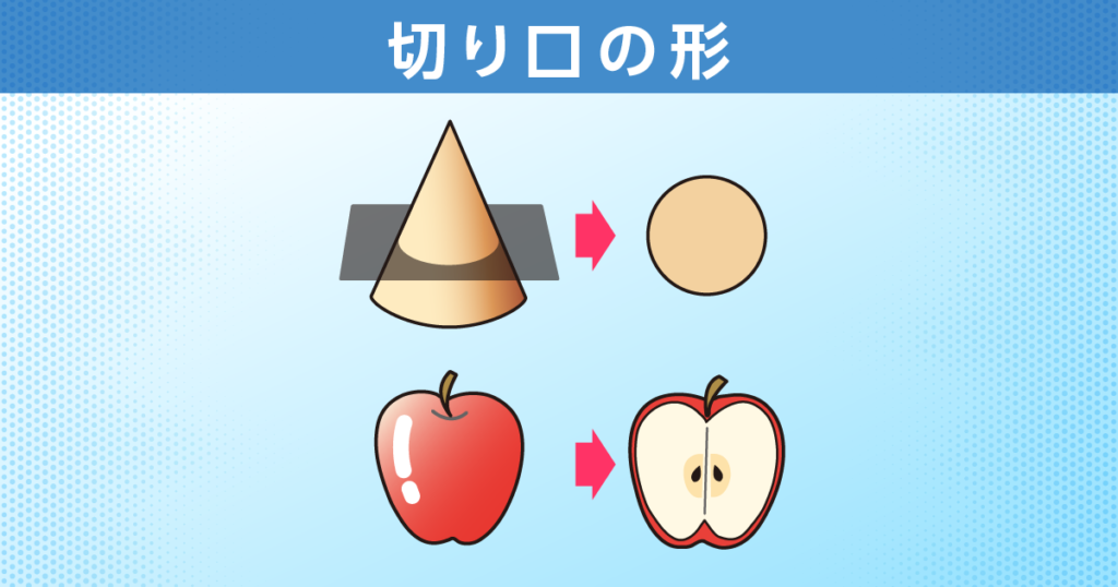 切り口の形