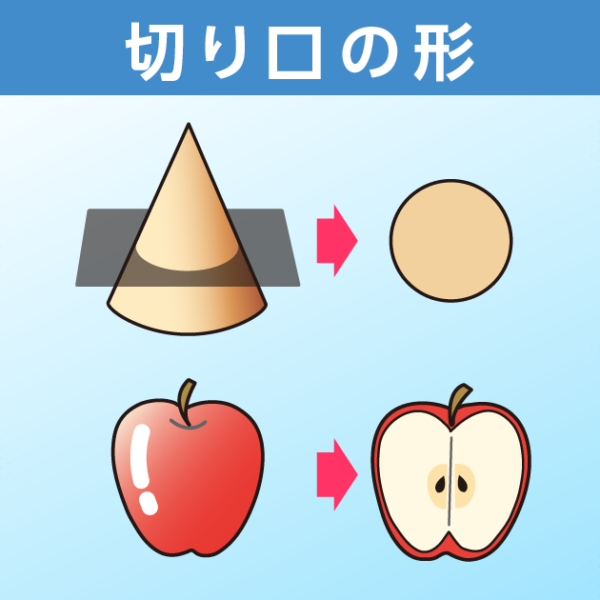 切り口の形