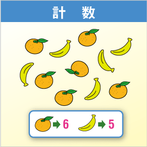 計数