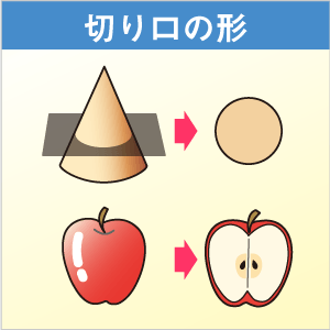 切り口の形