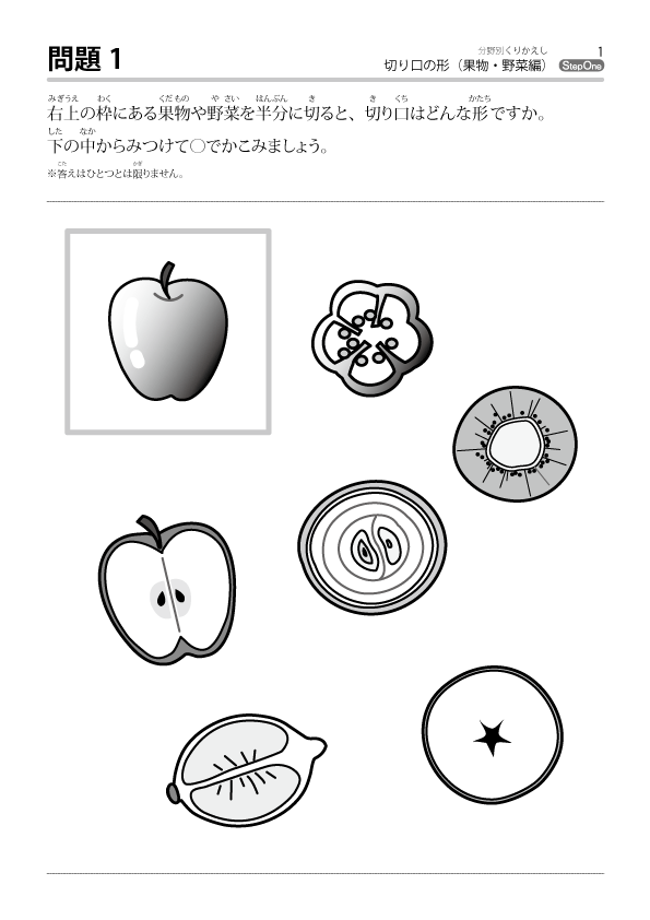 新教材 切り口の形 果物 野菜編 をupしました のびラボ 幼児教材 小学校受験 学習プリントのダウンロード販売 新教材 切り口の形 果物 野菜編 をupしました のびラボ 幼児教材 小学校受験 学習プリントのダウンロード販売