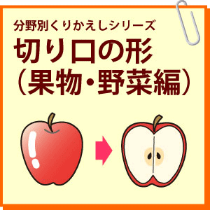分野別くりかえし 切り口の形 果物 野菜編 のびラボ 幼児教材 小学校受験 学習プリントのダウンロード販売 分野別くりかえし 切り口の形 果物 野菜編 のびラボ 幼児教材 小学校受験 学習プリントのダウンロード販売